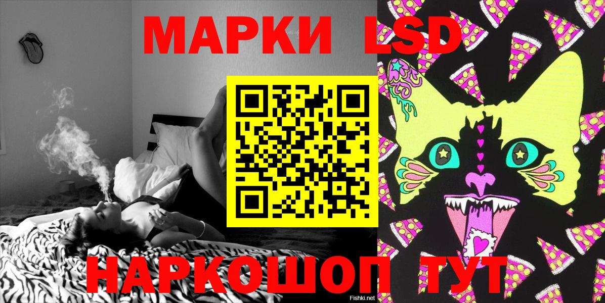 где можно купить наркотик  Наркотические марки 1,8мг  Наркотические марки 1,8мг  Вход с VPN  Хасавюрт 